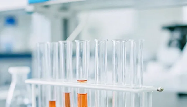 技术更新中的适配方案：使用与维护建议